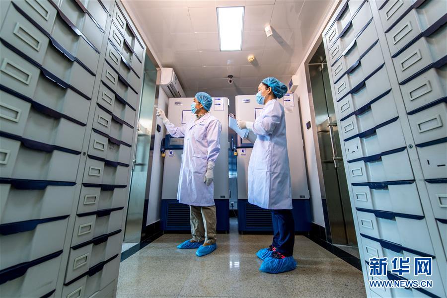 探访中科院武汉病毒研究所微生物菌毒种保藏中心