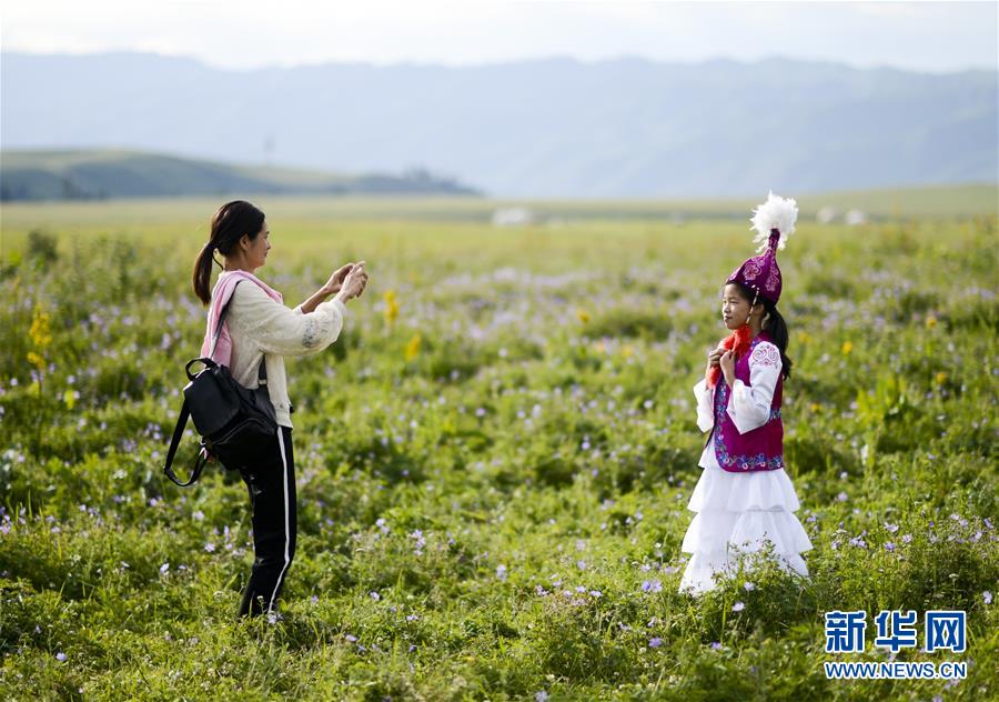 新疆：“空中草原”迎来旅游旺季