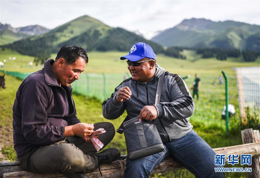 新疆：“空中草原”迎来旅游旺季